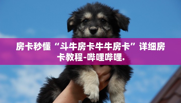 房卡秒懂“斗牛房卡牛牛房卡”详细房卡教程-哔哩哔哩.