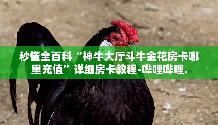 秒懂全百科“神牛大厅斗牛金花房卡哪里充值”详细房卡教程-哔哩哔哩.
