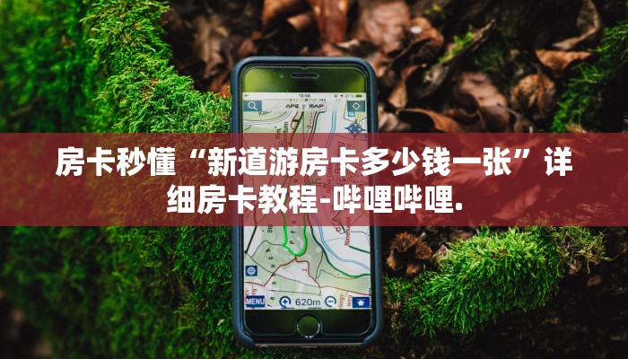 房卡秒懂“新道游房卡多少钱一张”详细房卡教程-哔哩哔哩.