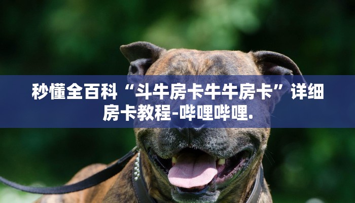 秒懂全百科“斗牛房卡牛牛房卡”详细房卡教程-哔哩哔哩.