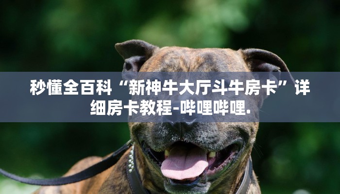 秒懂全百科“新神牛大厅斗牛房卡”详细房卡教程-哔哩哔哩.