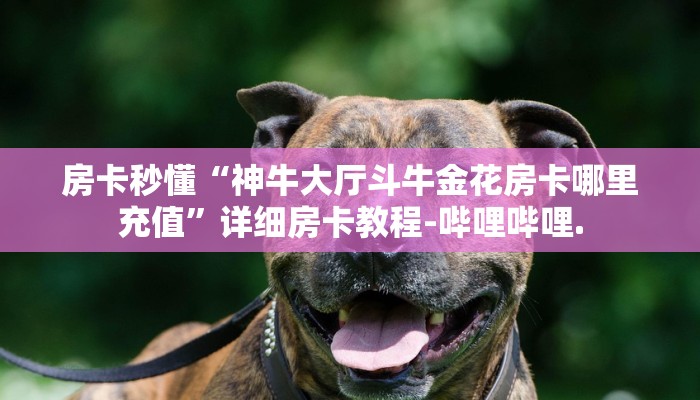 房卡秒懂“神牛大厅斗牛金花房卡哪里充值”详细房卡教程-哔哩哔哩.