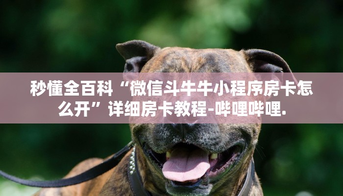 秒懂全百科“微信斗牛牛小程序房卡怎么开”详细房卡教程-哔哩哔哩.