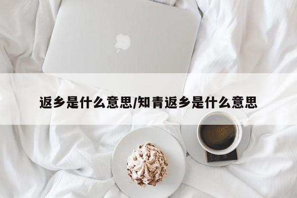 返乡是什么意思/知青返乡是什么意思